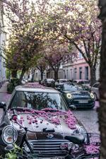 Mini Cooper S Cabrio Sidewalk 2020 года (WW)